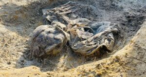 An excavated skeletal remains at the Chemmani mass grave