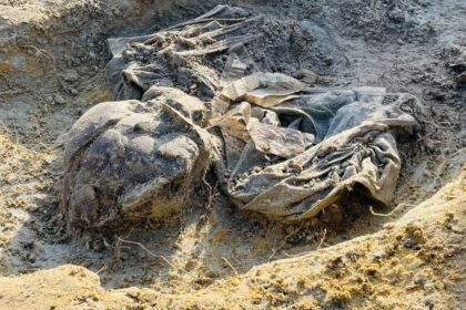 An excavated skeletal remains at the Chemmani mass grave